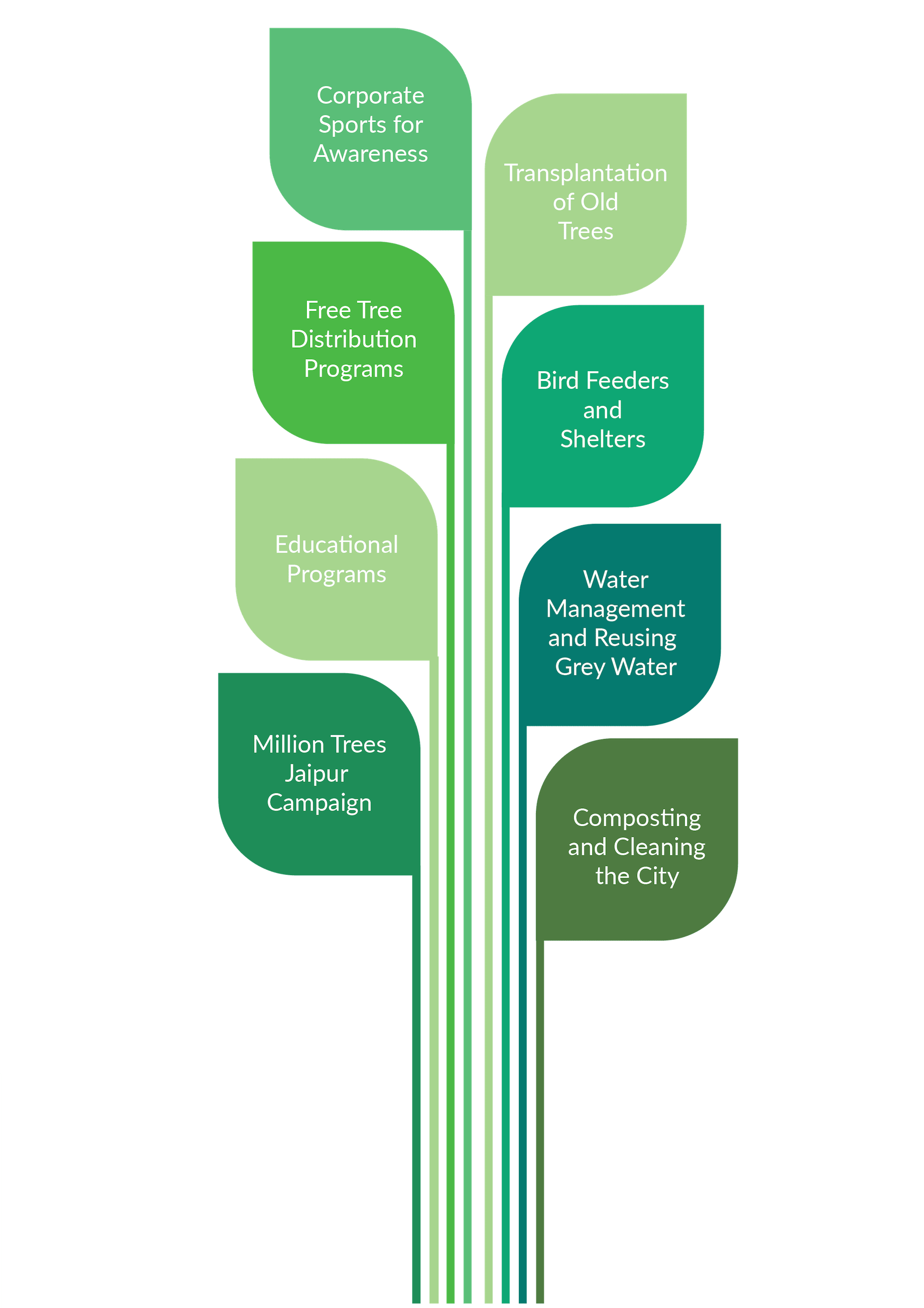 la soula tree graphic